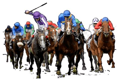 New Mexico Horse Racing Betting Sites .